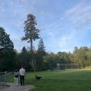 Meet your Posher, Ju young